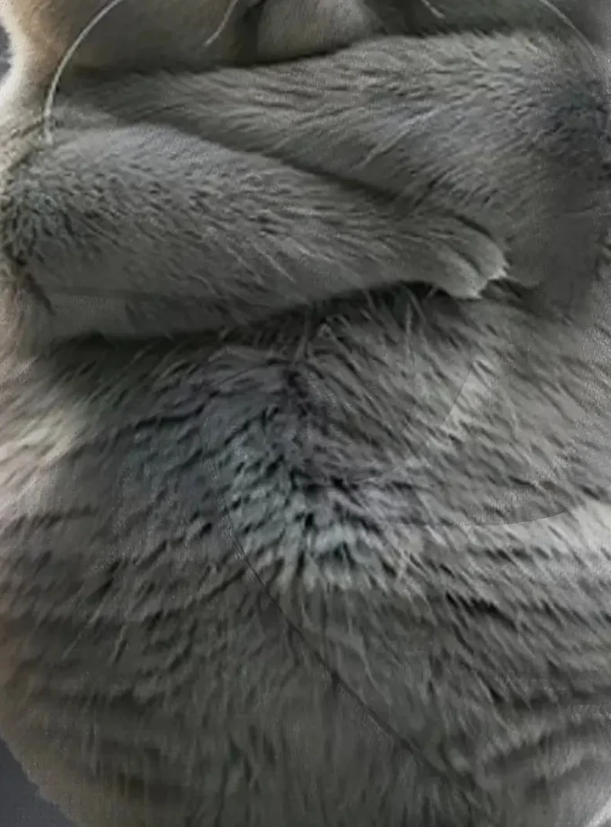 Men's Plus Size Casual Sporty Pullover Hoodie 3D Graphic Print with Kangaroo Pocket Stretch Fleece Fabric Machine Washable