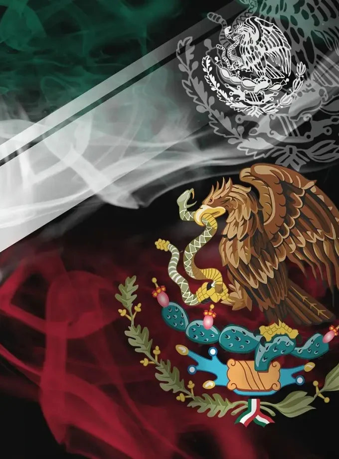 Men's Oversized Eagle Graphic Print Hoodie Casual Long Sleeve Sweatshirt Embossed Zipper Winter Heavyweight Outdoor Wear-XL