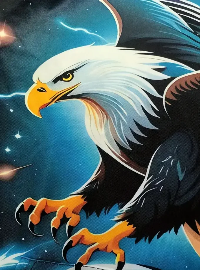 Men's Plus Size Casual Hooded Sweatshirt 3D Printed Novelty Eagle Graphic Pullover Polyester Fabric Kangaroo Pocket Long Slight